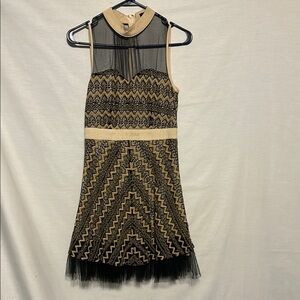 Chic Chevron Mesh Dress